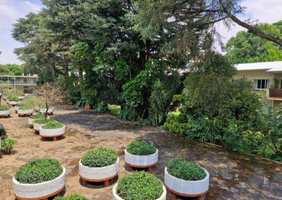 3 Bedroom Property for Sale in Illovo Gauteng