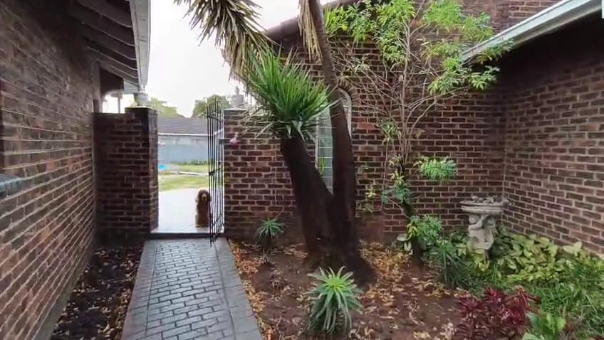 4 Bedroom Property for Sale in Allen Grove Gauteng