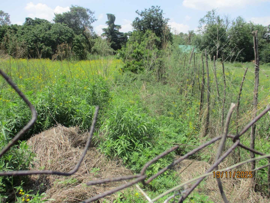 0 Bedroom Property for Sale in Henley on Klip Gauteng