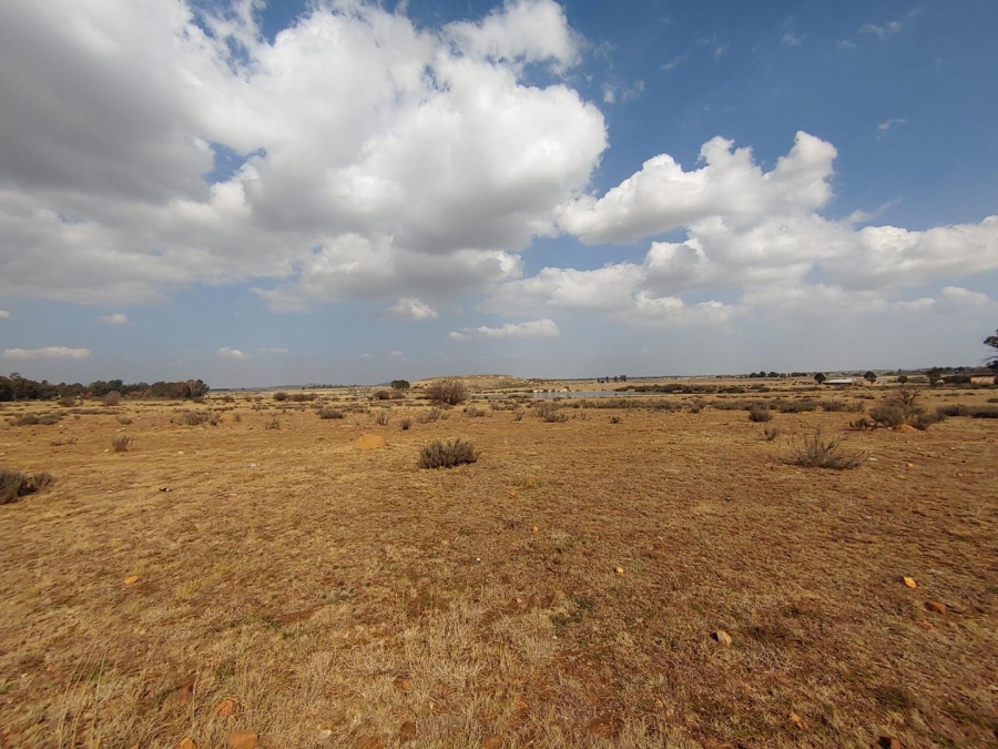 0 Bedroom Property for Sale in Henley on Klip Gauteng