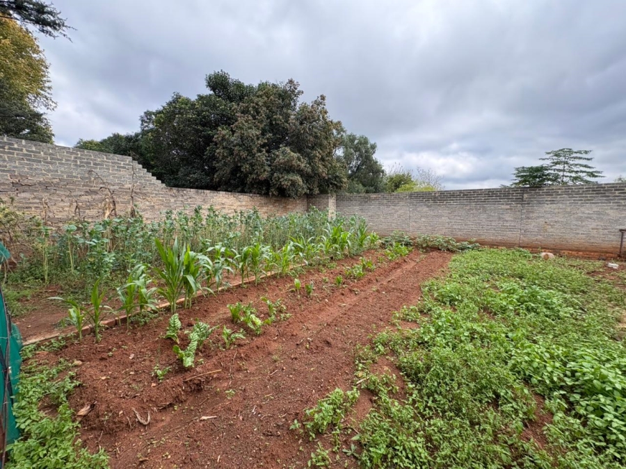 3 Bedroom Property for Sale in Witkop Gauteng