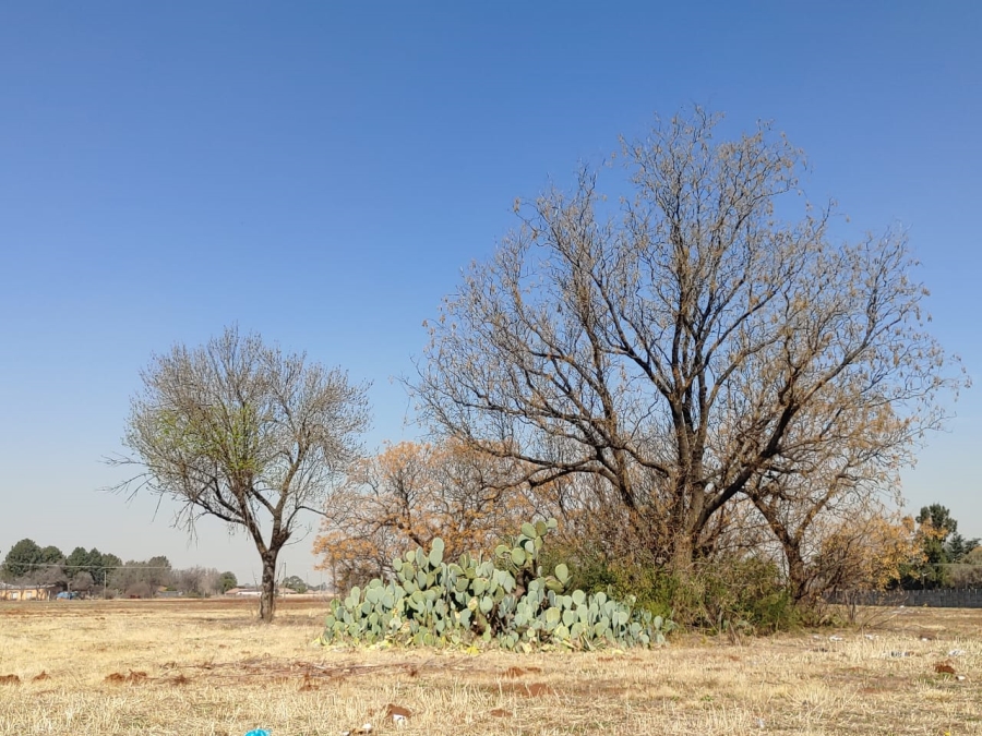 Commercial Property for Sale in Kookrus Gauteng