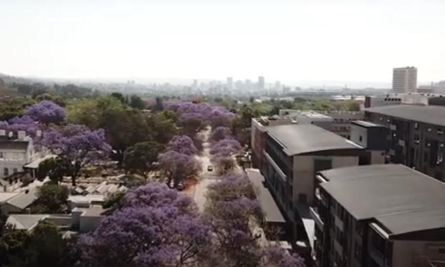 To Let 2 Bedroom Property for Rent in Brooklyn Gauteng