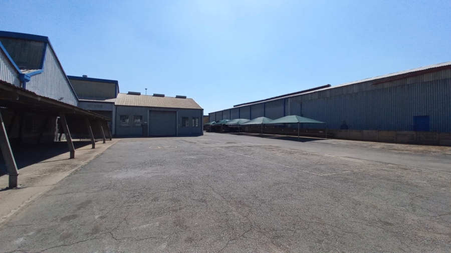To Let Commercial Property for Rent in Alrode Gauteng