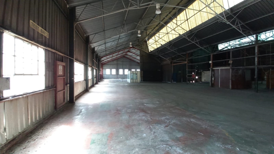 To Let Commercial Property for Rent in Alrode Gauteng