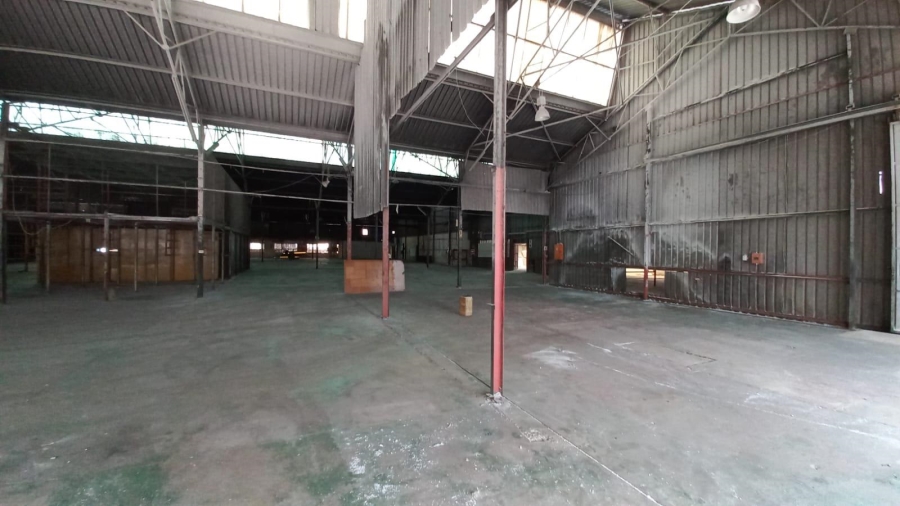 To Let Commercial Property for Rent in Alrode Gauteng
