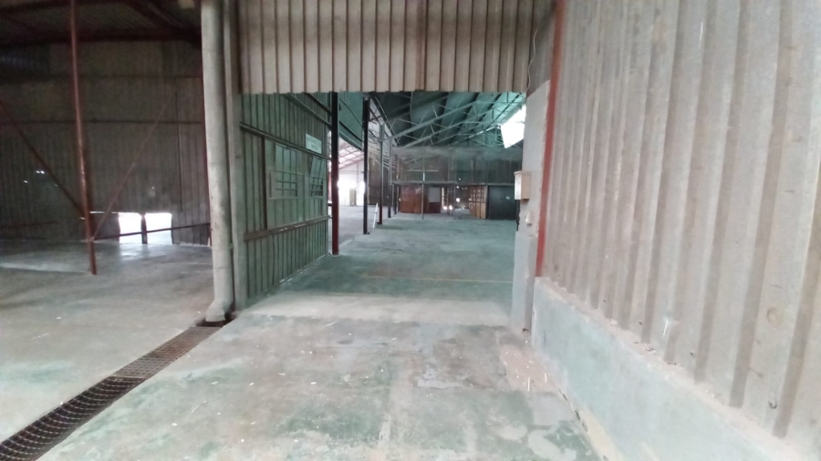 To Let Commercial Property for Rent in Alrode Gauteng