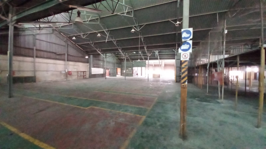 To Let Commercial Property for Rent in Alrode Gauteng