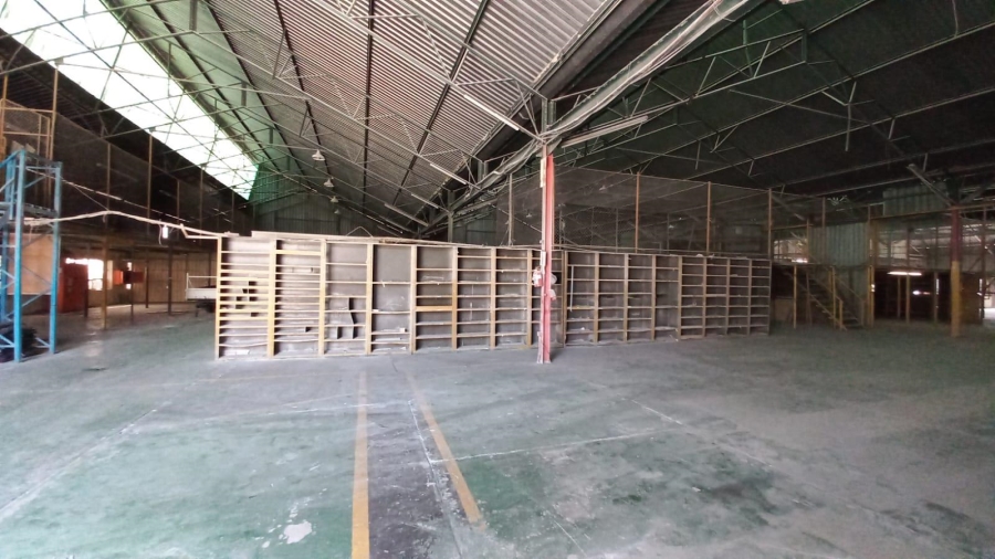 To Let Commercial Property for Rent in Alrode Gauteng