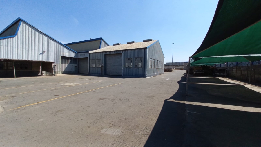 To Let Commercial Property for Rent in Alrode Gauteng