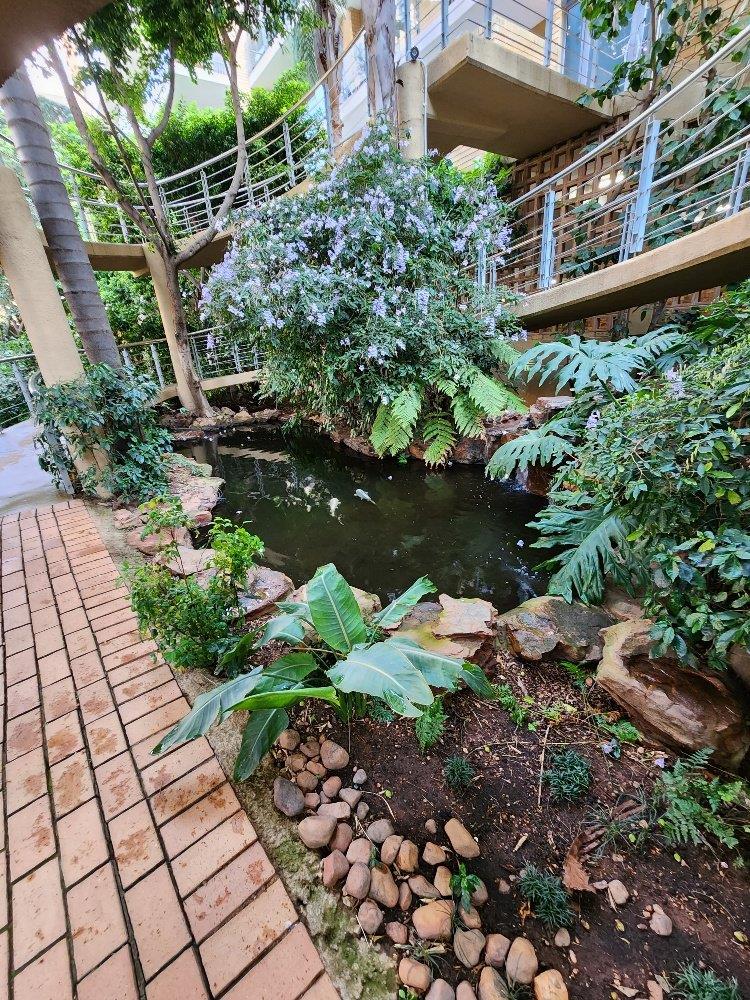 To Let 3 Bedroom Property for Rent in Morningside Gauteng