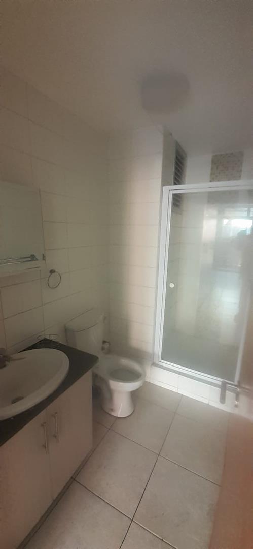 To Let 0 Bedroom Property for Rent in Hatfield Gauteng