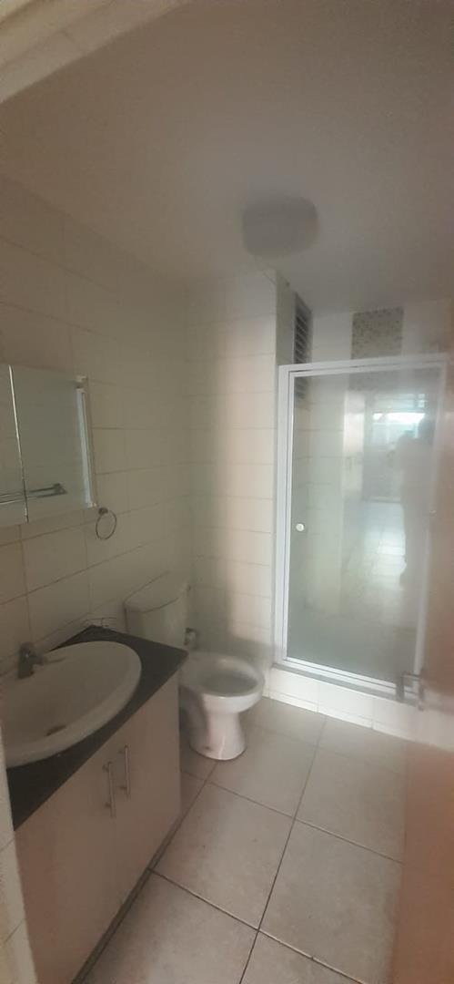 To Let 0 Bedroom Property for Rent in Hatfield Gauteng