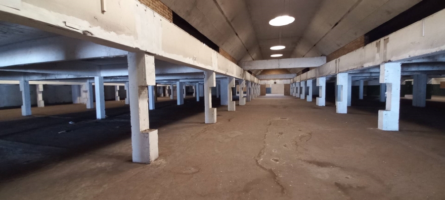 To Let Commercial Property for Rent in Wadeville Gauteng