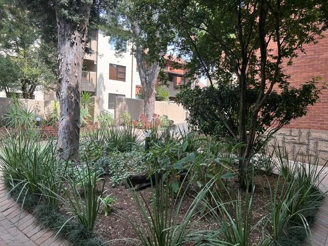 To Let 3 Bedroom Property for Rent in Paulshof Gauteng