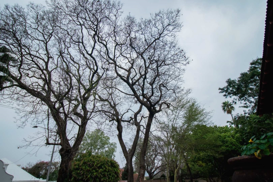 Commercial Property for Sale in Eastwood Gauteng