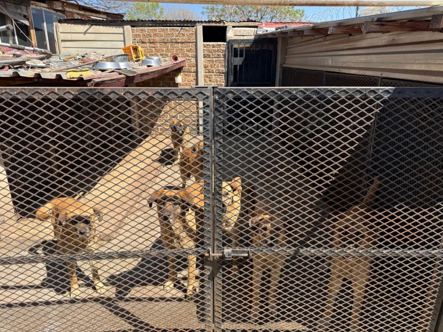Commercial Property for Sale in Putfontein Gauteng