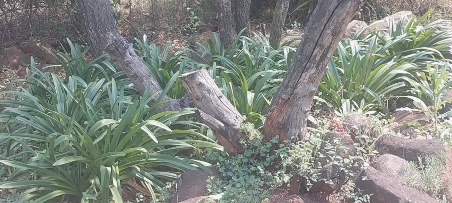 To Let 2 Bedroom Property for Rent in Zwavelpoort Gauteng
