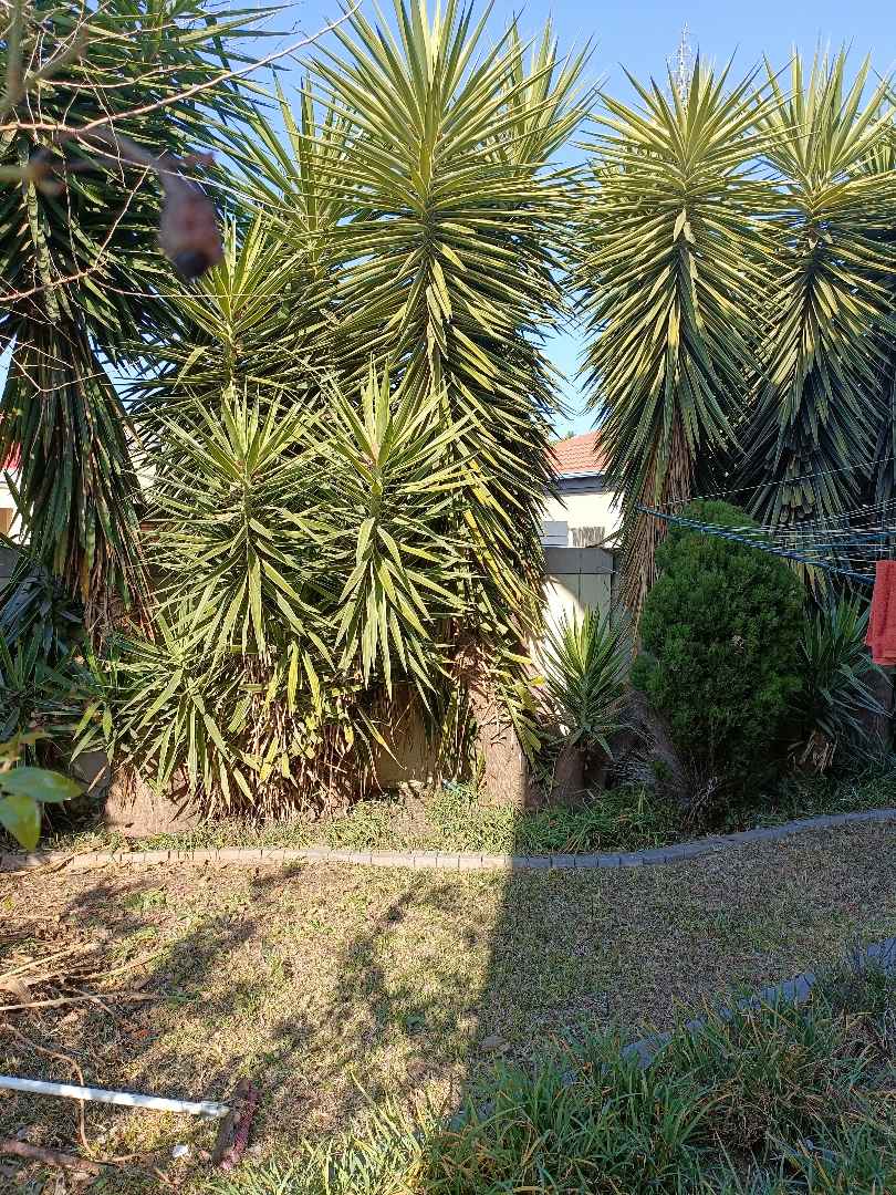 To Let 3 Bedroom Property for Rent in Montana Gauteng