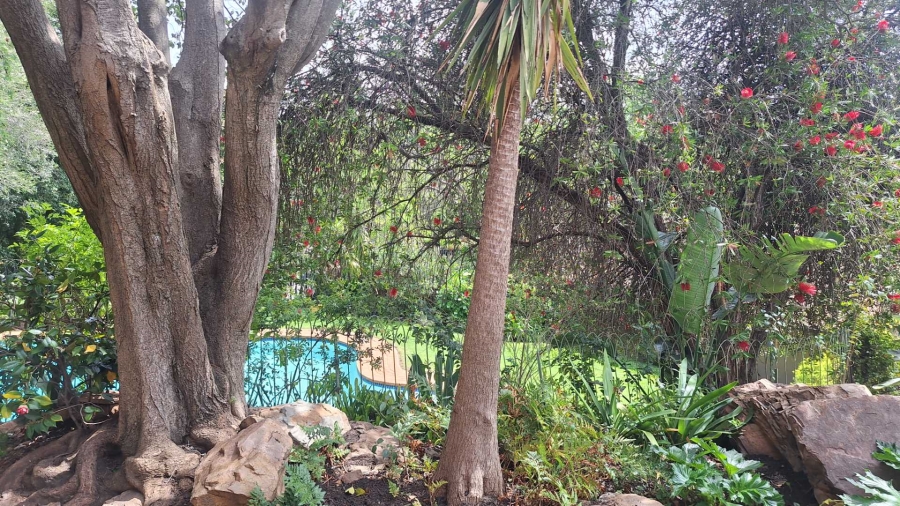 To Let 1 Bedroom Property for Rent in Northcliff Gauteng