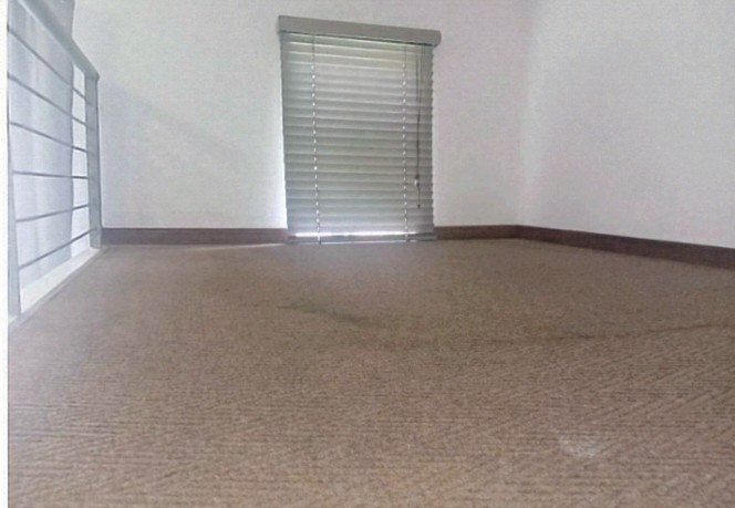 To Let 0 Bedroom Property for Rent in Houghton Gauteng