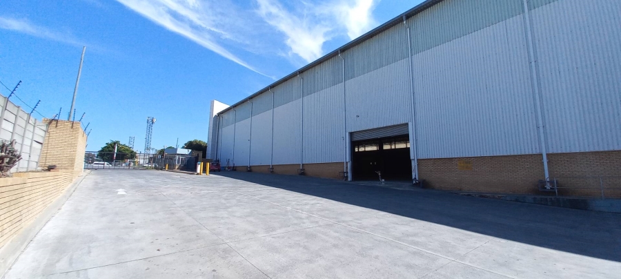 To Let Commercial Property for Rent in Tunney Gauteng