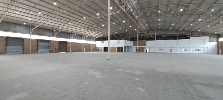 To Let Commercial Property for Rent in Longmeadow Gauteng