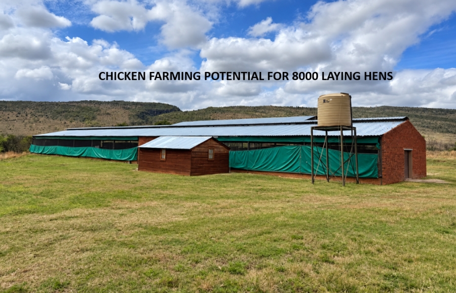 18 Bedroom Property for Sale in Hekpoort Gauteng