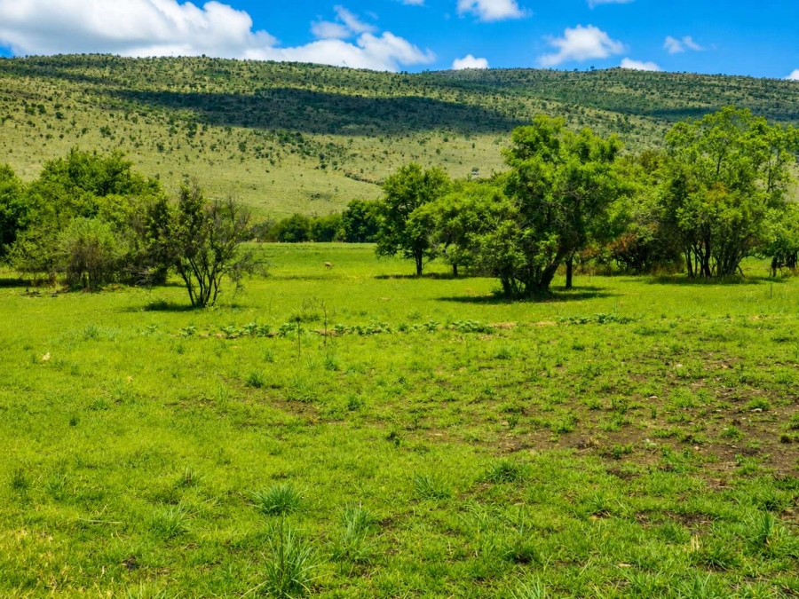 18 Bedroom Property for Sale in Hekpoort Gauteng