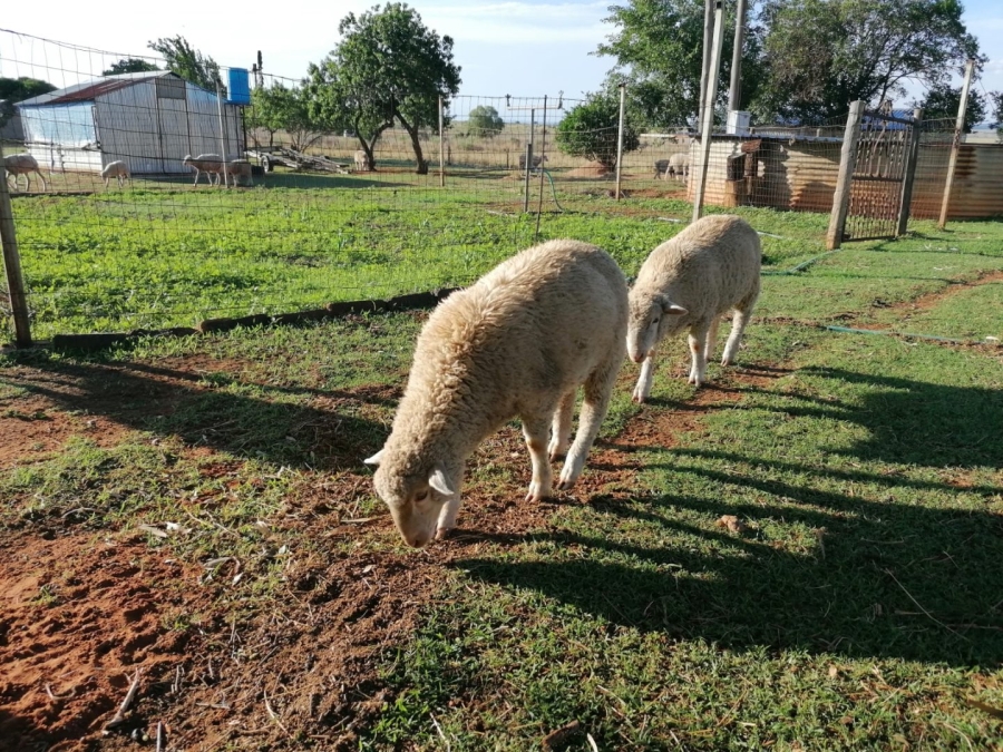 3 Bedroom Property for Sale in Cooperville Gauteng