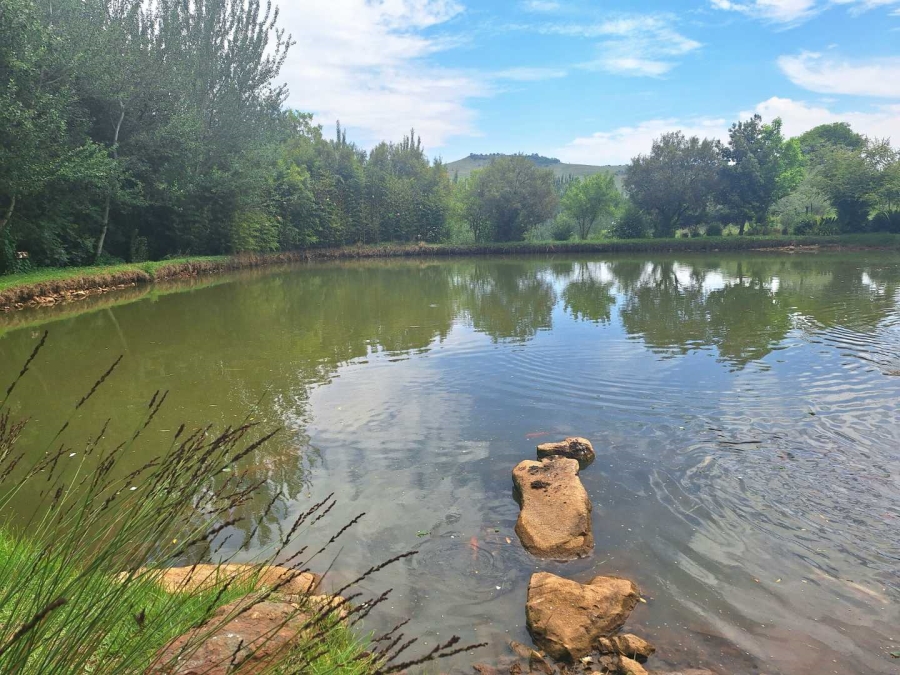 0 Bedroom Property for Sale in Walkerville Gauteng