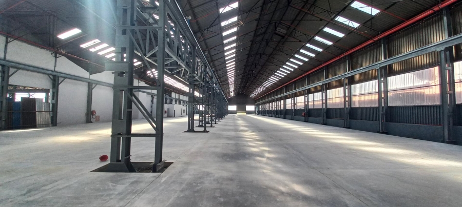 To Let Commercial Property for Rent in Tunney Gauteng