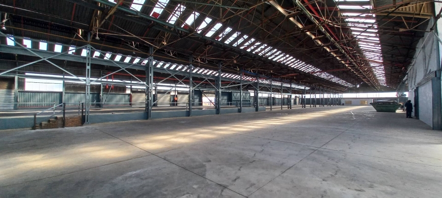 To Let Commercial Property for Rent in Tunney Gauteng