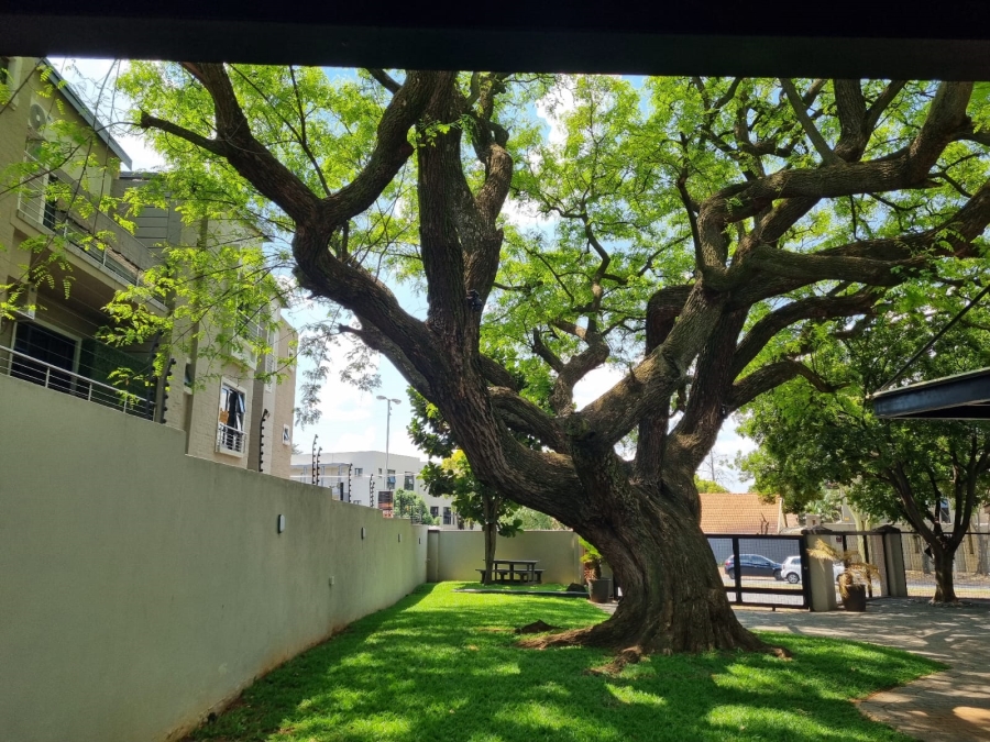 To Let 1 Bedroom Property for Rent in Menlo Park Gauteng