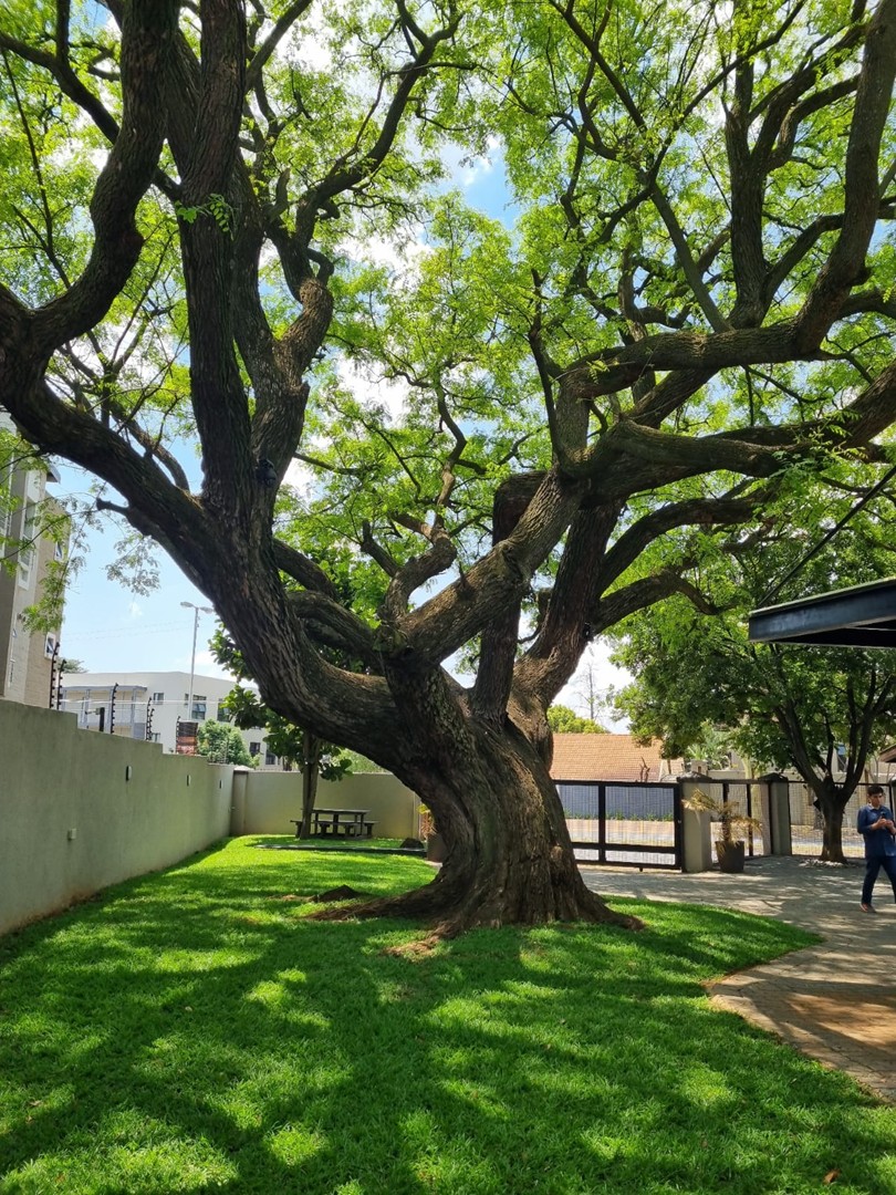 To Let 1 Bedroom Property for Rent in Menlo Park Gauteng