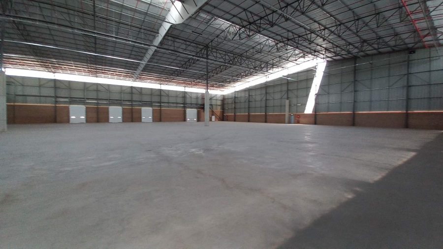 To Let Commercial Property for Rent in Airport Park Gauteng
