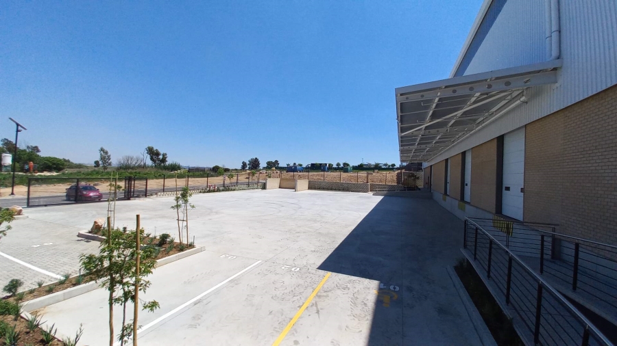 To Let Commercial Property for Rent in Airport Park Gauteng