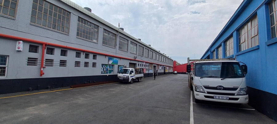 To Let Commercial Property for Rent in Steeledale Gauteng