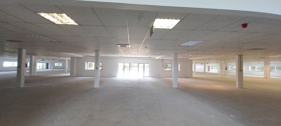 To Let Commercial Property for Rent in Longmeadow Gauteng