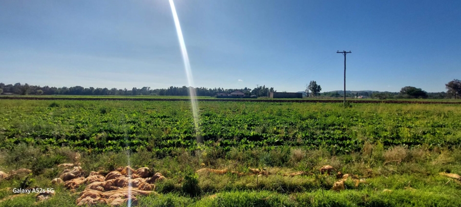 0 Bedroom Property for Sale in Eikenhof Gauteng