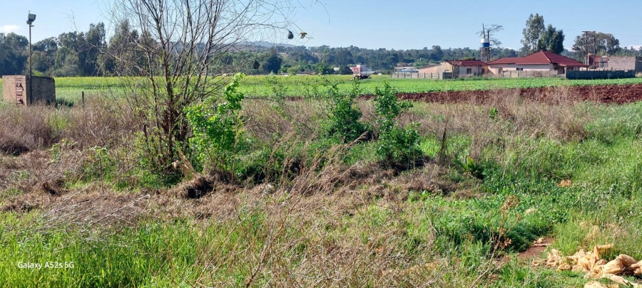 0 Bedroom Property for Sale in Eikenhof Gauteng