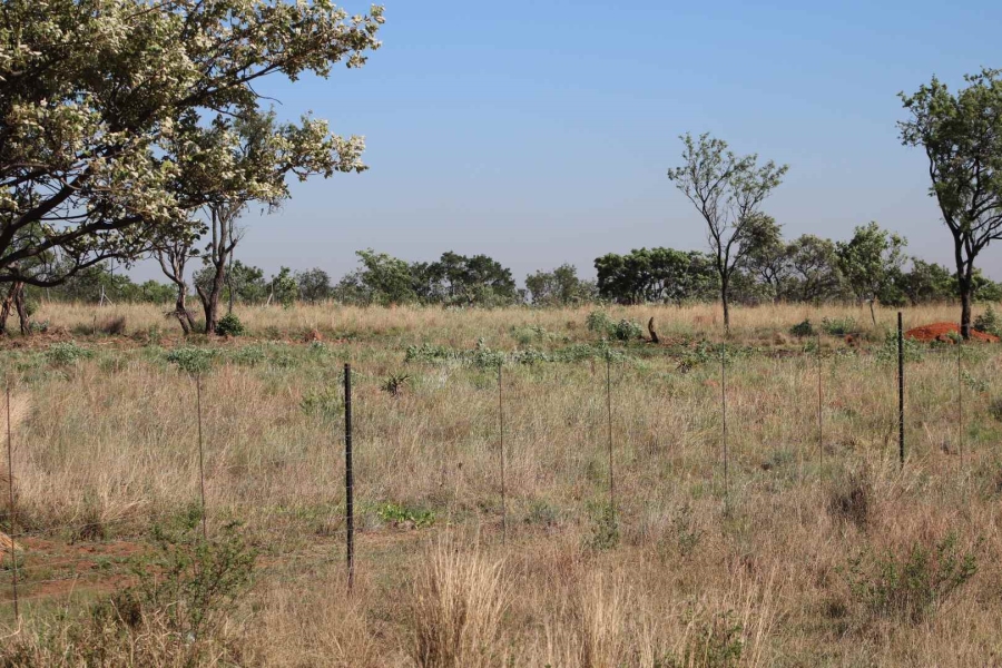 0 Bedroom Property for Sale in Honingnestkrans Gauteng