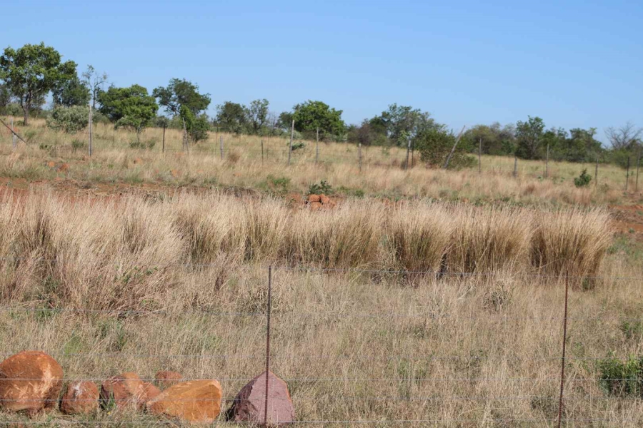0 Bedroom Property for Sale in Honingnestkrans Gauteng