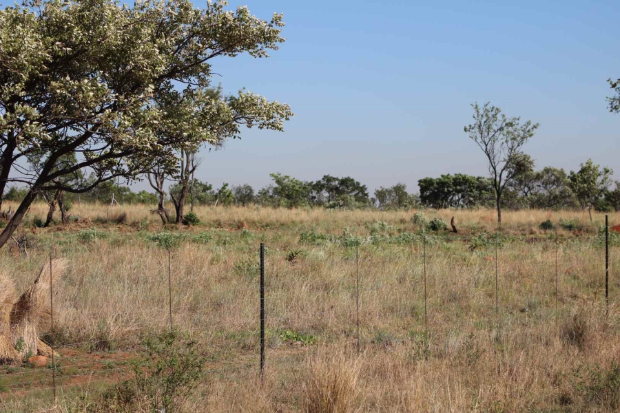 0 Bedroom Property for Sale in Honingnestkrans Gauteng