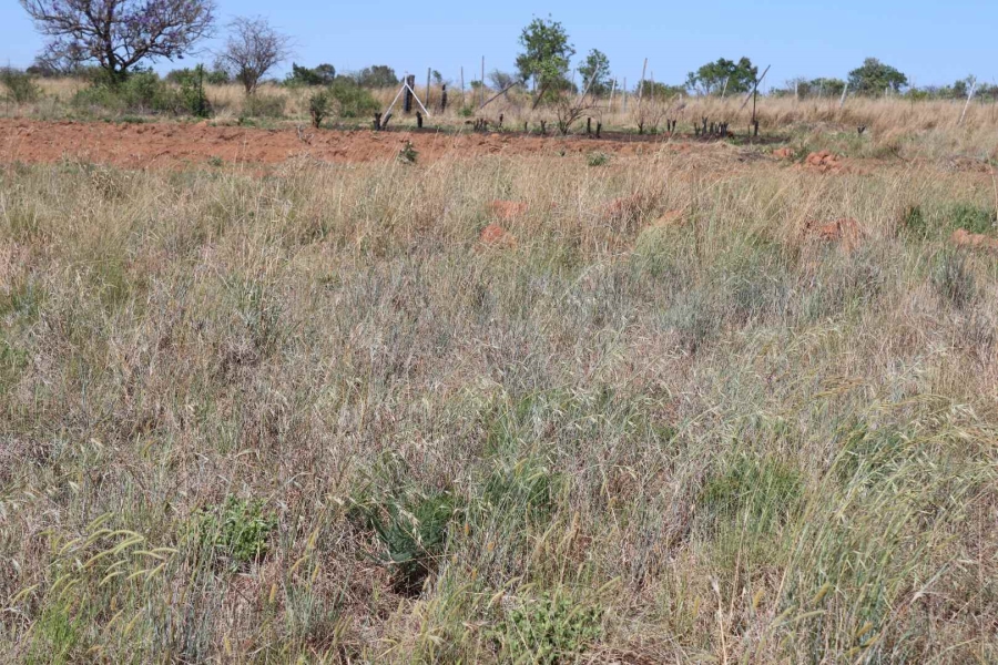 0 Bedroom Property for Sale in Honingnestkrans Gauteng