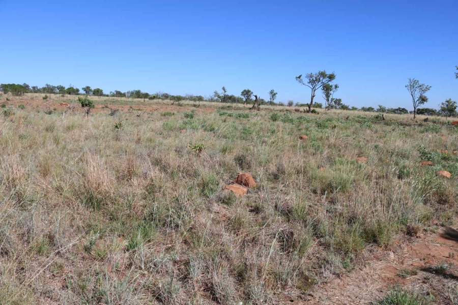0 Bedroom Property for Sale in Honingnestkrans Gauteng
