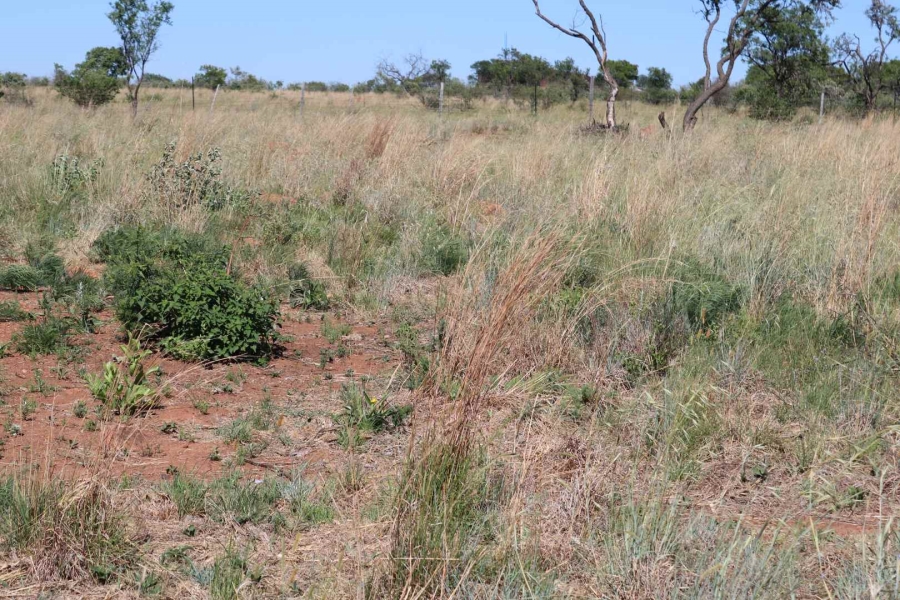 0 Bedroom Property for Sale in Honingnestkrans Gauteng