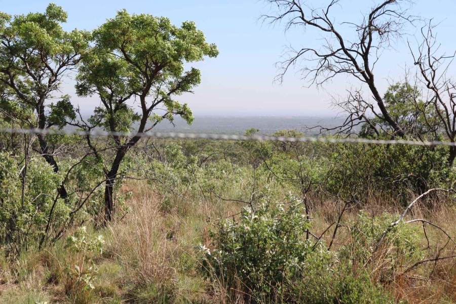 0 Bedroom Property for Sale in Honingnestkrans Gauteng