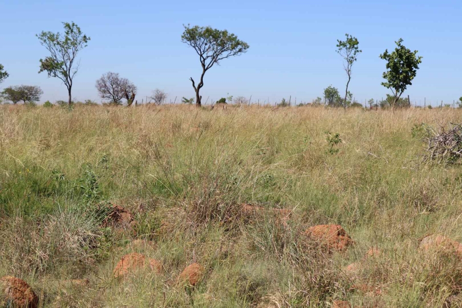 0 Bedroom Property for Sale in Honingnestkrans Gauteng