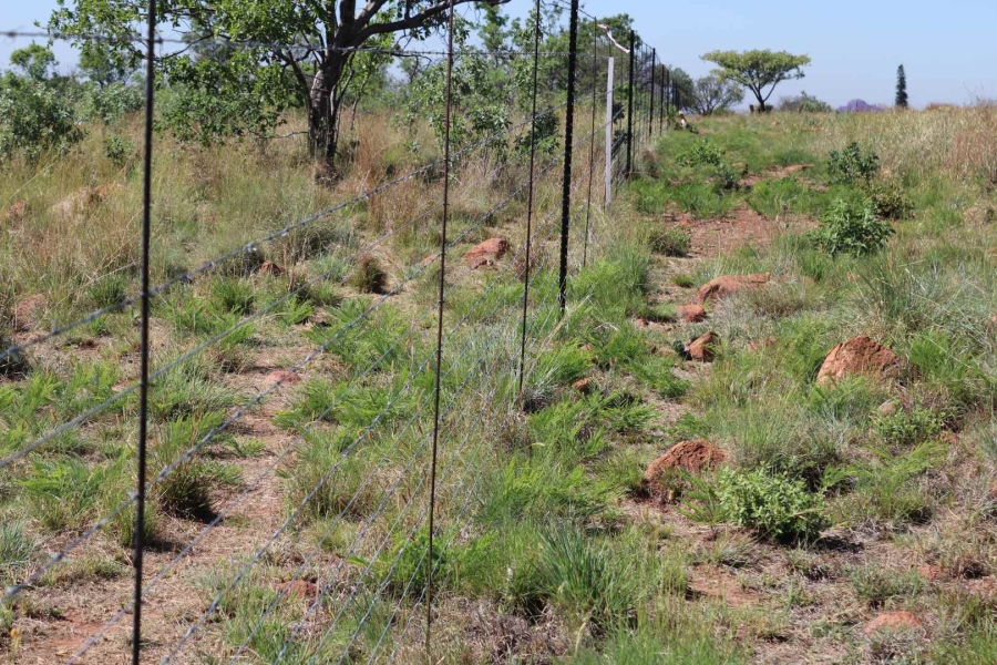 0 Bedroom Property for Sale in Honingnestkrans Gauteng